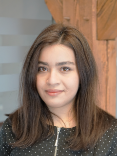 Dr.-Ing. Saba Asaad