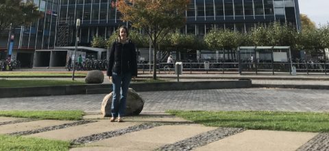 Zum Artikel "Ingrid Ullmann (A01 & B03) becomes guest researcher at Delft University of Technology"