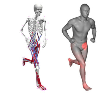 Zum Artikel "Simulating Movement – How do we move?"