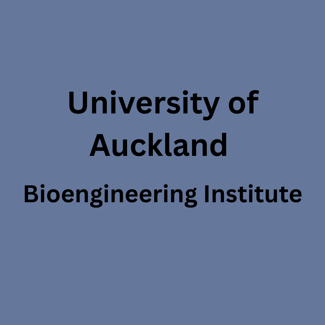 Zur Seite: Iris Wechsler at the Auckland Bioengineering Institute
